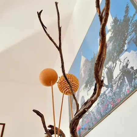 Casa Belmar Semesterbostad